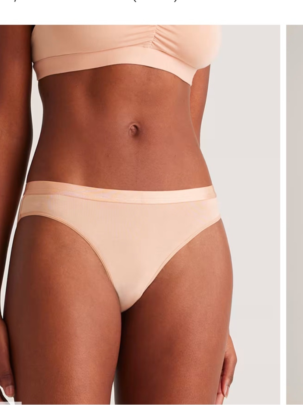 Quince Micromodal Bikini 6 Pack Warm Sand NEW